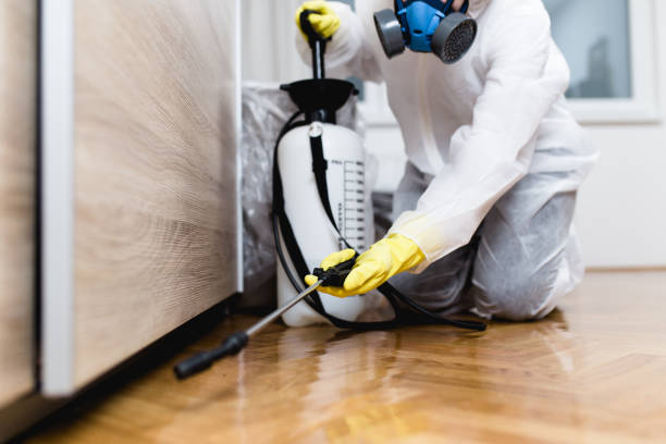 Best Residential Pest Control  in Bard College, NY