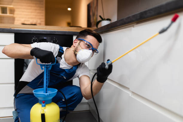 Best Affordable Pest Control Services  in Bard College, NY