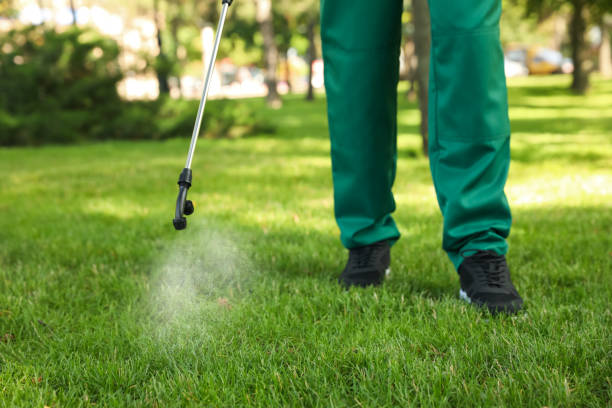 Best Termite Control Services  in Bard College, NY