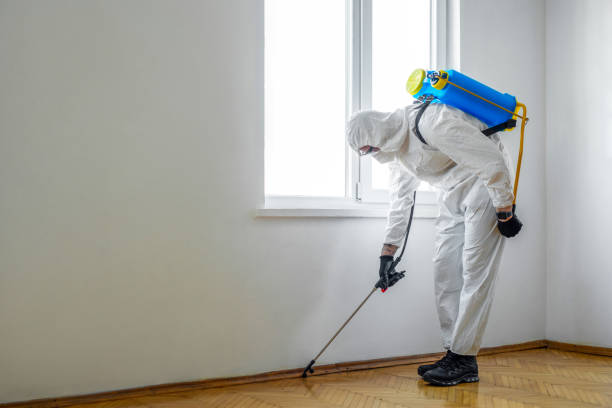 Best Pest Removal Services  in Bard College, NY