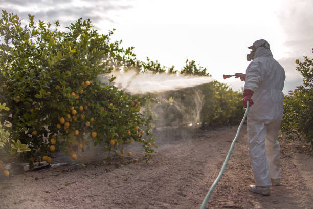 Trusted Bard College, NY Pest Control Experts