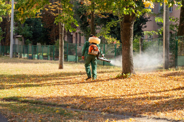 Best Mosquito Control Services  in Bard College, NY