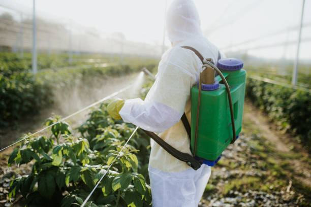 Best Affordable Pest Control Services  in Bard College, NY